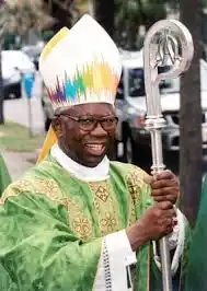 Don’t Get Distracted with Soludo’s Endorsement – Cardinal Arinze to Nigerian youths