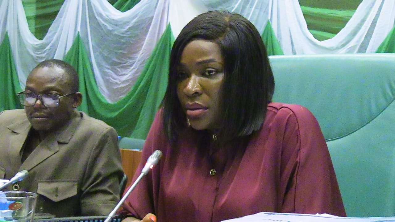 Investigation of CSR Projects of Oil Companies Not A Witch Hunt— Orogbu