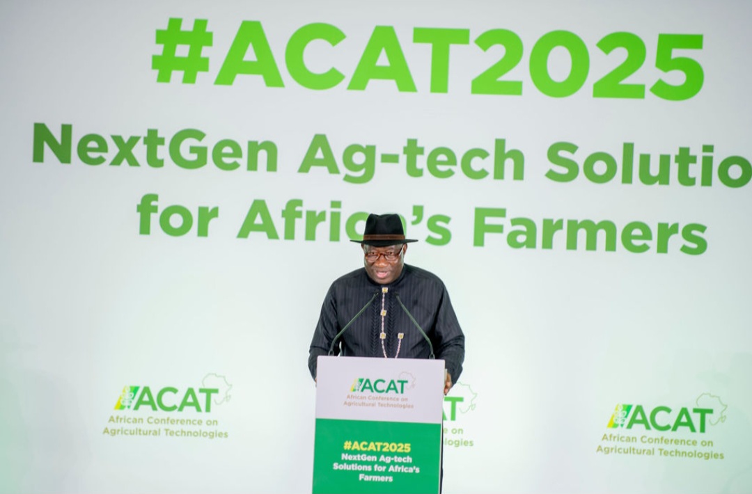 Jonathan urges African leaders to prioritise policies that promote lending to farmers